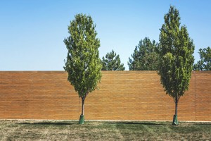 Trees and Wall